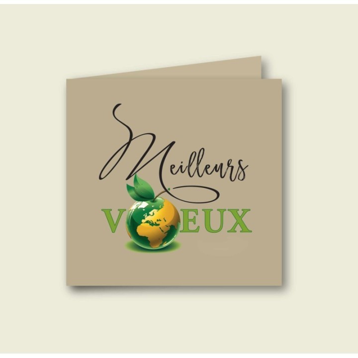 Carte MEILLEURS vœux planisphère esprit délicat en papier kraft écolo
