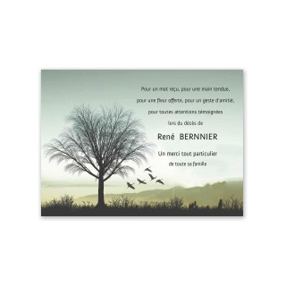 Carte condoléances, paysage arbre cyprès