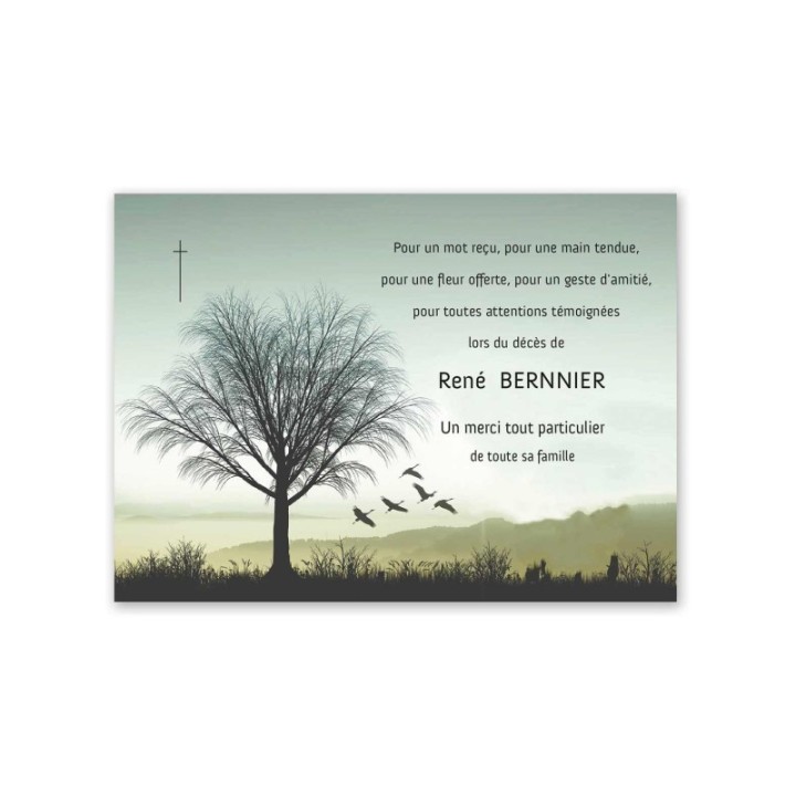 carte remerciements décès, arbre cyprès, croix catholique