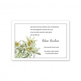 Carte condoléances Edelweiss, fleur de nos montagnes