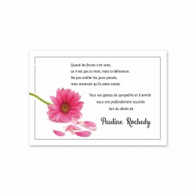 remerciements décès, pâquerette aux pétales  rose