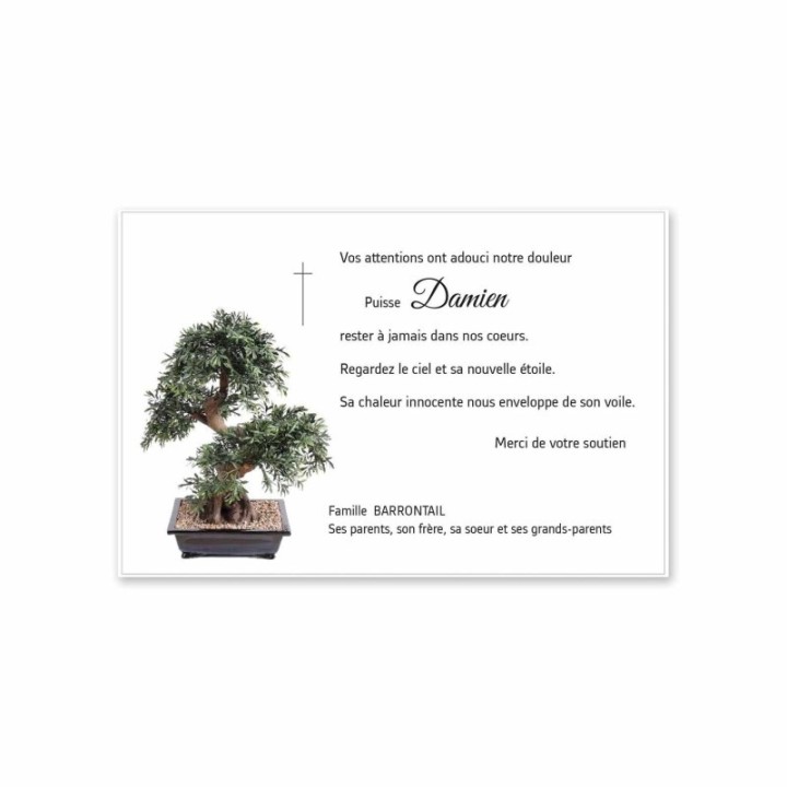 carte remerciements décès,   plante de  Bonzaï éclosion