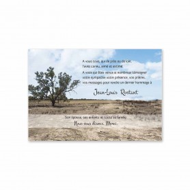 carte condoléances, paysage désert arbre acacia