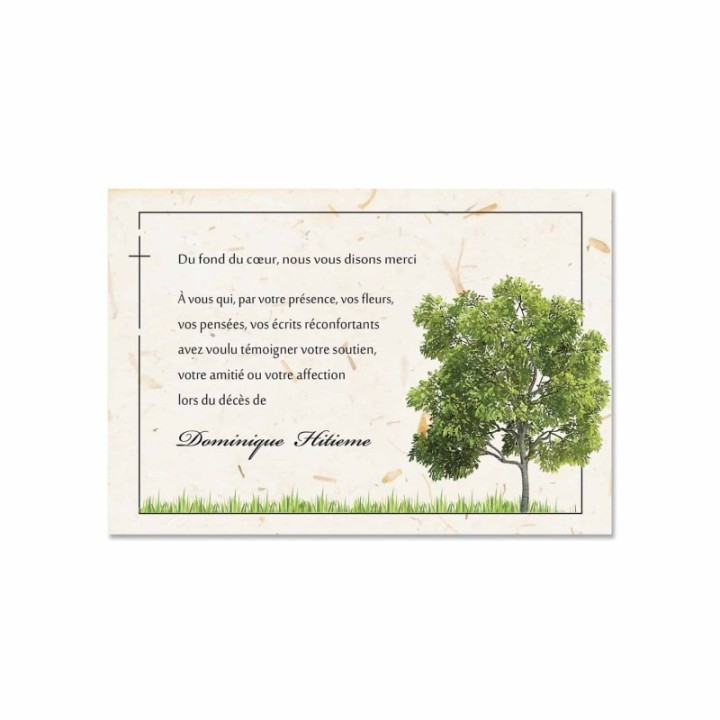 carte condoléances  papier écolo. arbre chêne, paysage nature