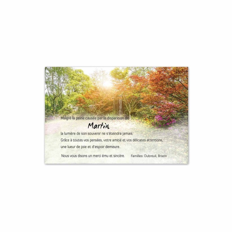 10 Cartes De Remerciements Décès + 10 Enveloppes - Format A6 (10,5 X 14,8 Cm) - Papier 300g/m² - Visuel Nature - Imprimé En France
