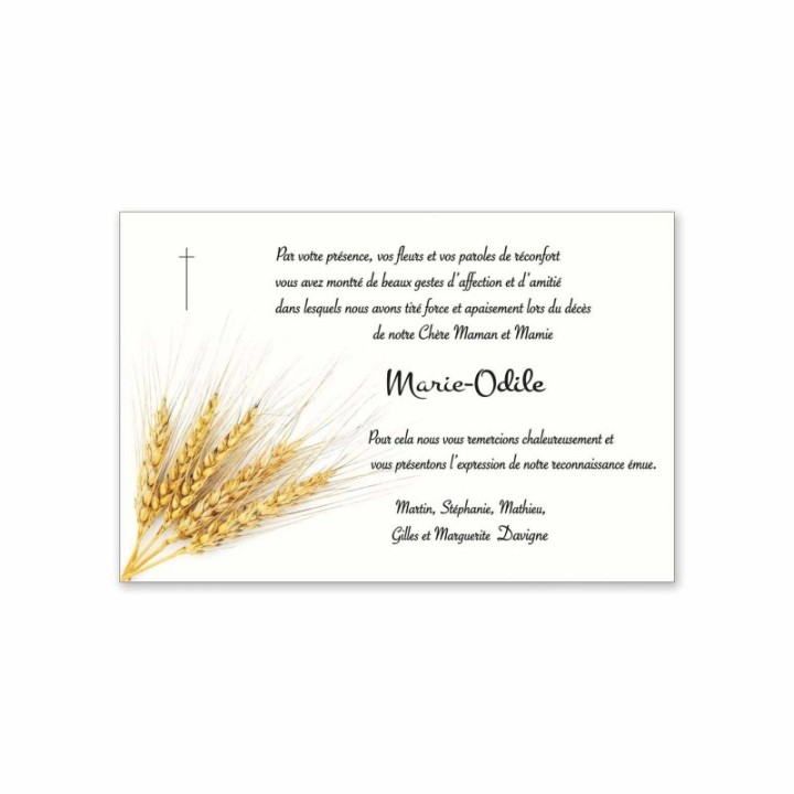 carte condoléances funérailles TRADITION Épis de blés dorés