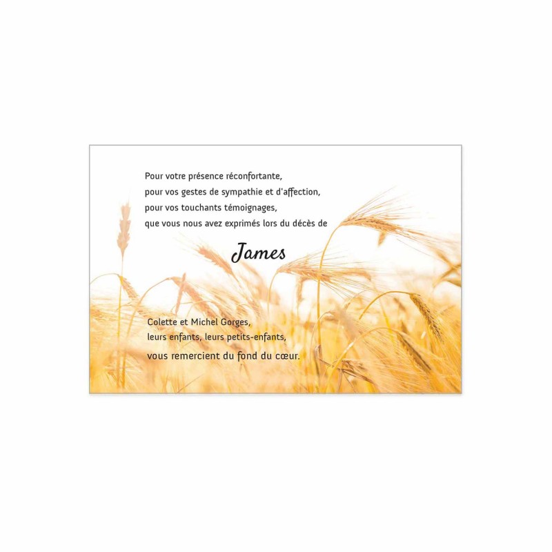 Carte remerciement décès, champs de blé pleine nature de condoléances