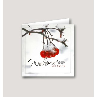 carte de vœux  branche de houx enneigé,  entreprise personnalisé à grenoble