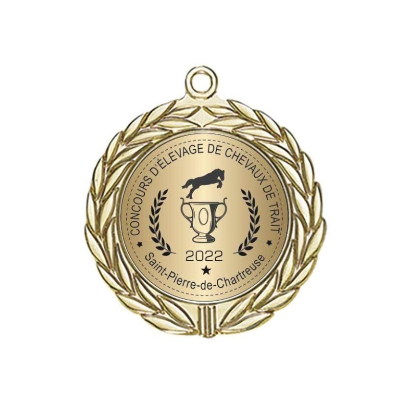 Médaille En Bronze - Cheval / Tour Équestre - Île De France 1974 - Collection