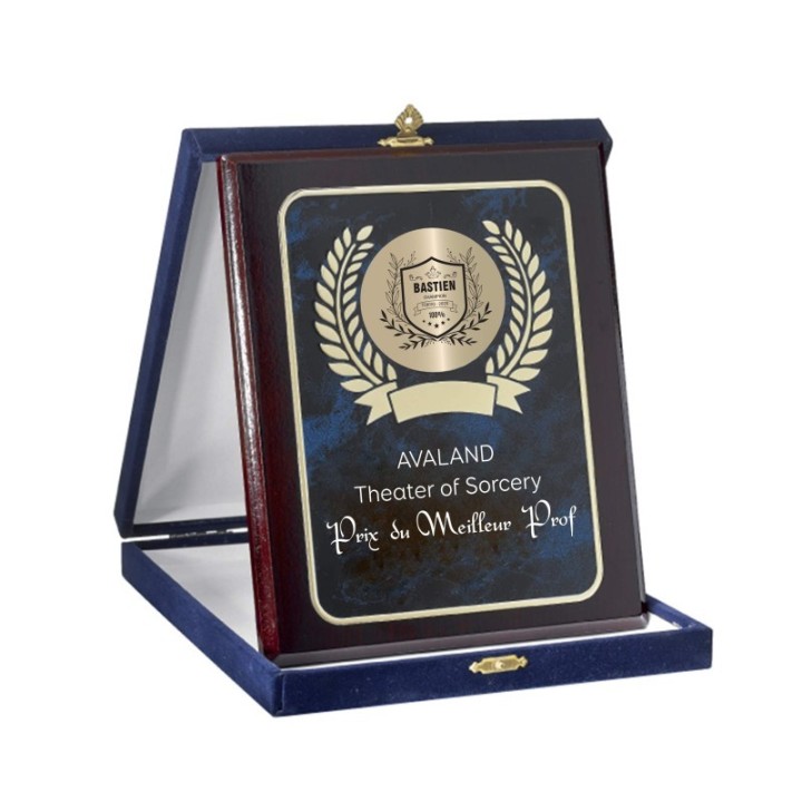 trophee plaque metal, support bois dans coffret écrin luxe rouge