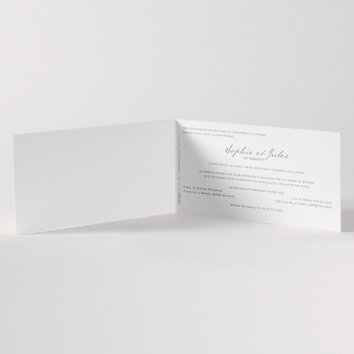 invitation mariage  pochette papier calque transparent , branche  fleurs anis étiquette, ruban satin