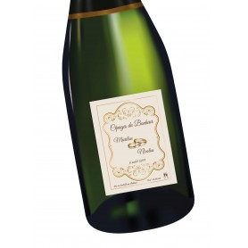 étiquette bouteille  vin, ou champagne, mariage anniversaire personnalisée