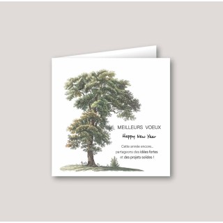 Carte de vœux  arbre chêne et racine paysage nature, partageons des idées fortes et des projets solides