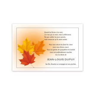 Carte remerciements décès FEUILLES MARRONNIER,  condoléances  naturel