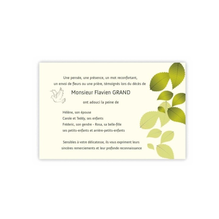 CARTE REMERCIEMENTS DÉCÈS, Botanique feuille  d'AUTOMNE