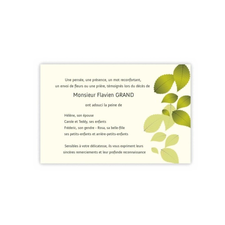 CARTE REMERCIEMENTS DÉCÈS, TAPIS DE FEUILLES AUTOMNE
