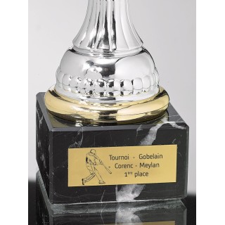 plaque de coupe BASEBALL gravées personnalisées, récompenser les exploits sportifs et les réalisations exceptionnelles.