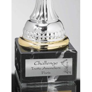 PLAQUE DE COUPE PERSONNALISEE BASKETBALL  COULEUR ARGENT