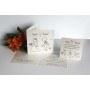 Faire-part mariage HUMOUR PAPIER IRISE   FAUVETTE  dessin des maries