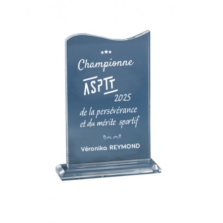 TROPHEETRANSPARENT EN ACRYGLAS   personnalise par UNE GRAVURE SABLEE BLANC