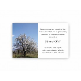 CARTE REMERCIEMENTS DECES CHEMIN PAISIBLE  SOUS UN ARBRE EN FLEURS
