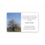 CARTE REMERCIEMENTS DECES CHEMIN PAISIBLE  SOUS UN ARBRE EN FLEURS