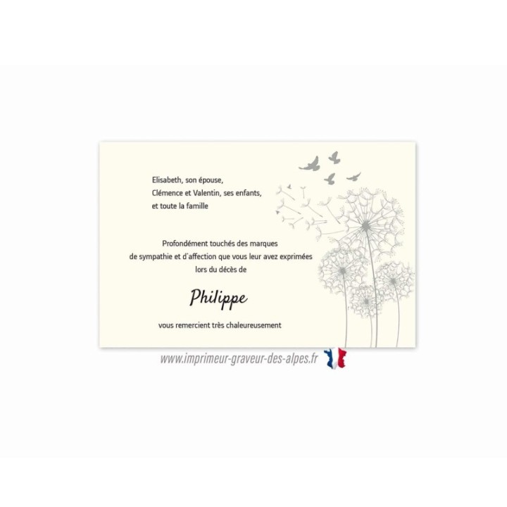 carte remerciement décès fleur de pissenlit, envol colombe, condoléances, carte funéraire