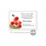 carte faire part deuil, personnalisee  papillon et coquelicots rouges, www.imprimeur-graveur-des-alpes.fr
