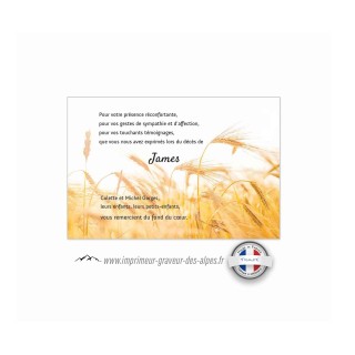 CARTE Remerciement décès, condoléances, carte funéraire, personnalisée, champs de blé, croix catholique
