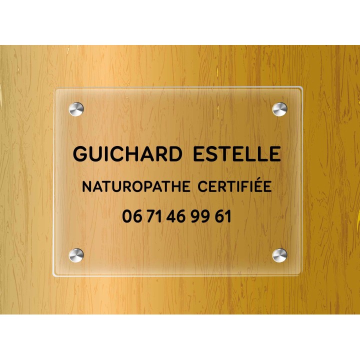 PLAQUE PLEXIGLAS TRANSPARENT LETTRES NOIRES FIXATION ENTRETOISES A GRENOBLE