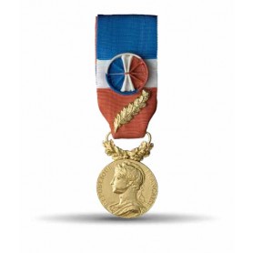 Médaille du travail OR 
35 ans d'ancienneté