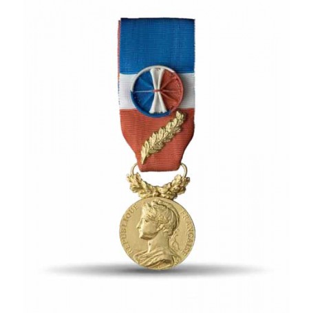 Médaille du travail OR 
35 ans d'ancienneté